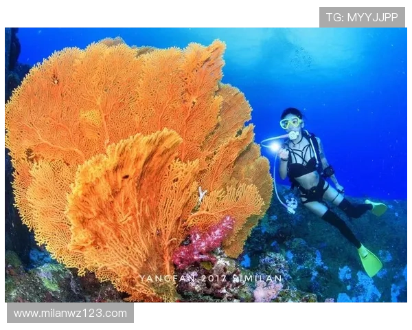 斯米兰跟团游：省心省力的泰国潜水旅游全攻略与实用建议